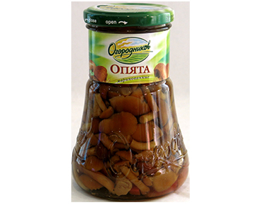 Ogorodnik-Marinated-Honey-Agarics-440g.jpg